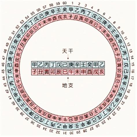 1987 天干地支|天干地支对照表